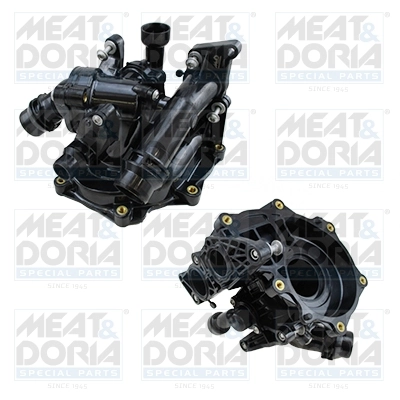 Thermostat, coolant